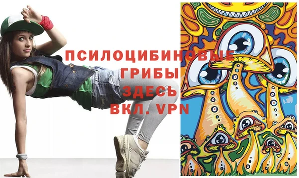 индика Абаза