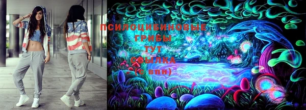 индика Абаза