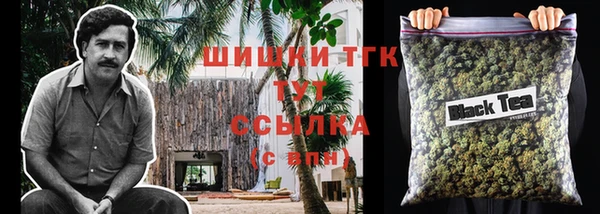 индика Абаза