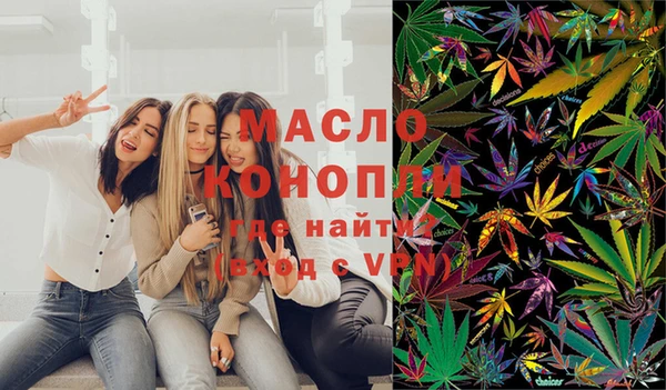 индика Абаза