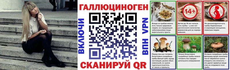 что такое наркотик Чекалин OMG Псилоцибиновые грибы Magic Shrooms